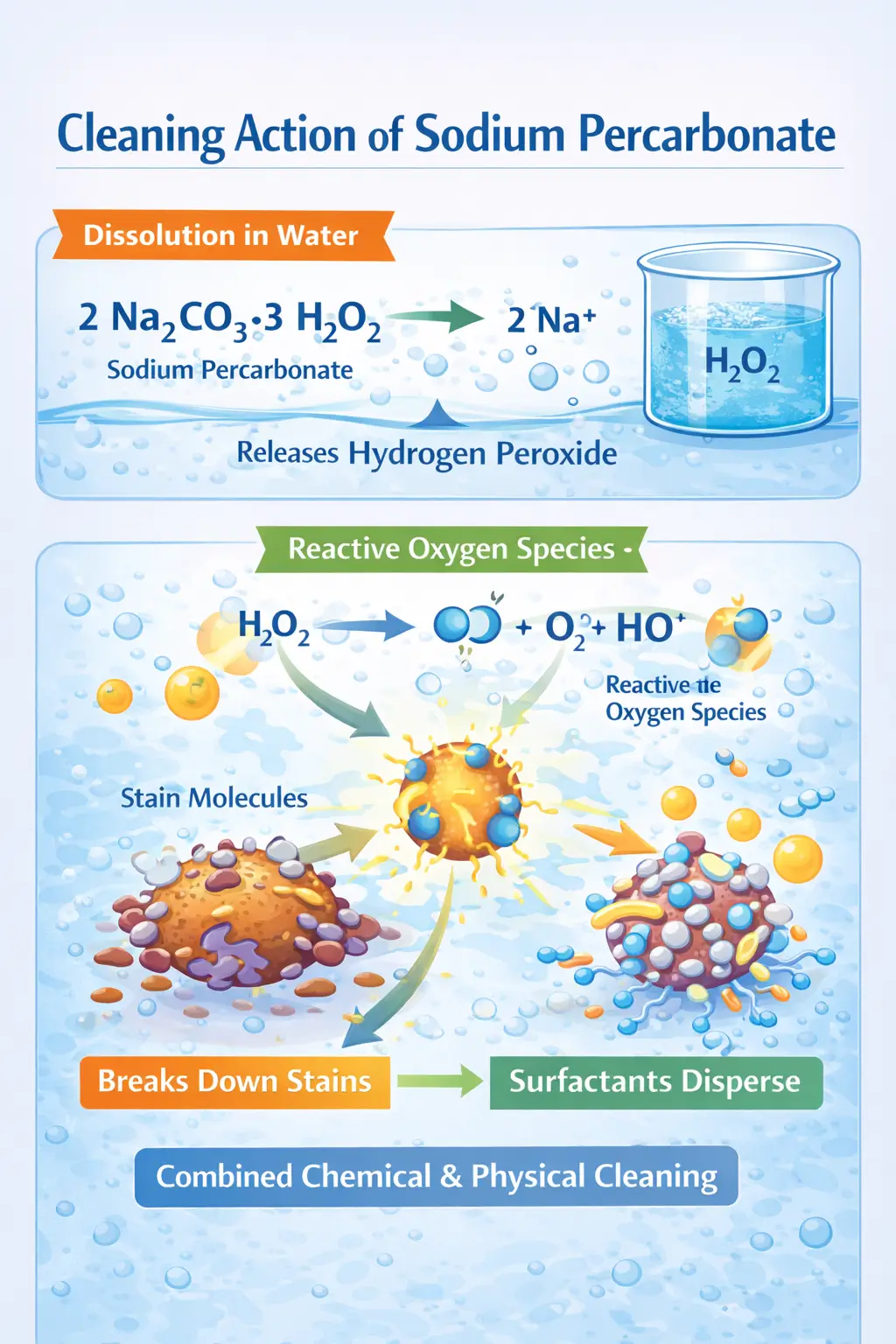 Bleach activator reacting with hydrogen peroxide to form reactive oxygen species interacting with stains in detergent system