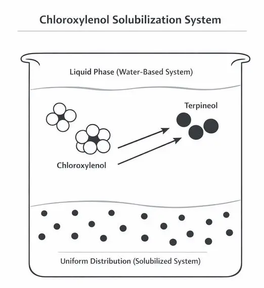 Diagram showing chloroxylenol distributed in a liquid phase with terpineol assisting solubilization